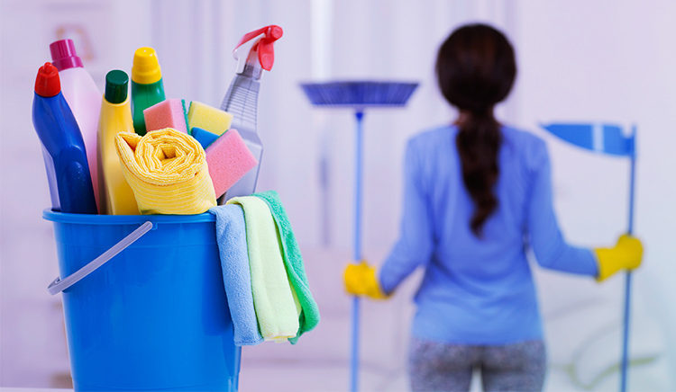 Dia Internacional do Trabalho doméstico