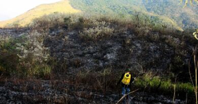 Protetores no combate aos incêndios florestais em Nova Iguaçu