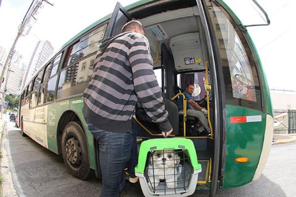 Lei que autoriza transporte de animais em ônibus é sancionada