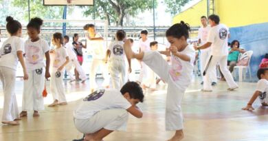 Dia Estadual da Capoeira