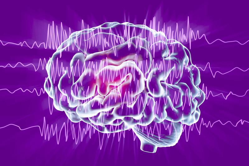 Dia Mundial de Conscientização Sobre a Epilepsia, Cerebro
