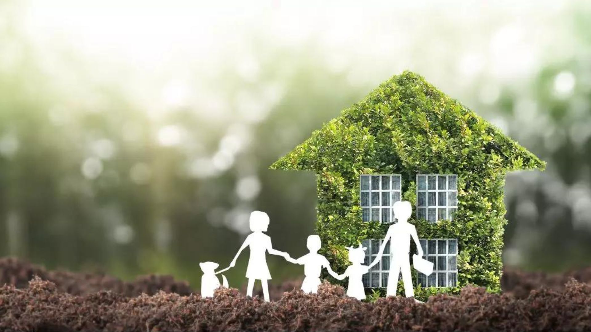 Telhado Verde, acologia, familia, meio ambiente