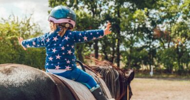 Equoterapia, cavalo, montaria, cavalgar