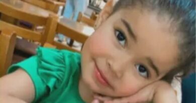 Menina Heloísa dos Santos Silva, de 3 anos, foi baleada dentro do carro da família no Arco Metropolitano — Foto Reprodução